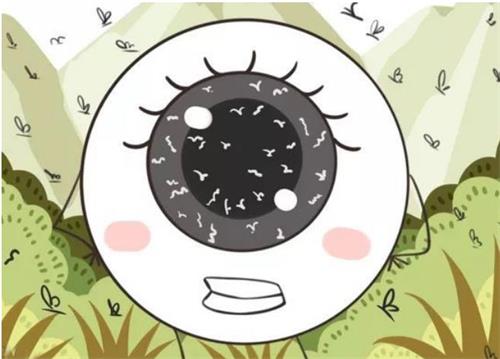 年轻人得了飞蚊症能不能自愈?该怎么恢复呢?