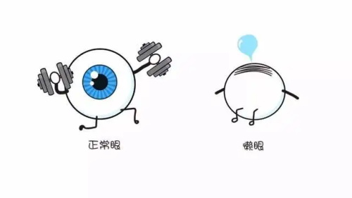 正常眼和弱视对比示意图