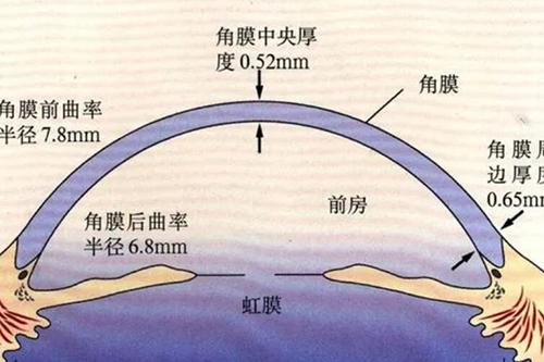眼睛照片展示图