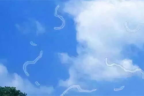 飞蚊症视觉图