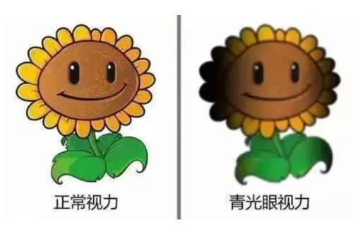 青光眼和正常眼睛的视力对比