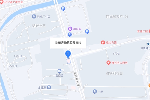 沈阳麦迪格眼科医院地图