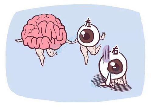 弱视左右眼示意图