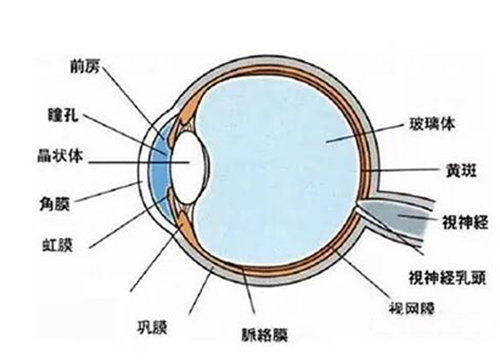 QQ截图20231008165309