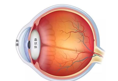 白内障手术后眼角膜脱落怎么办:常见原因及解决方案一览